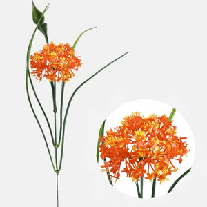 Oranž