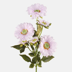 Helelilla