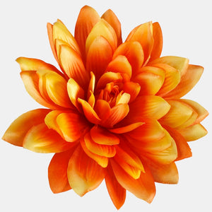 Oranž/kollane