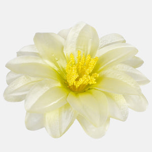 Heleroheline