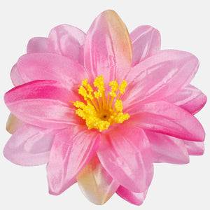 Roosa