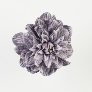 Hall violetne