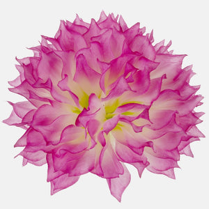 Helelilla