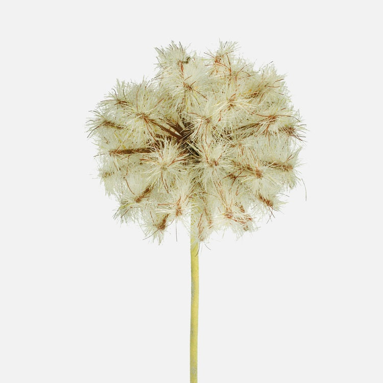 Pruun võilille kunstlilleoks 50 cm - Kunstlilled