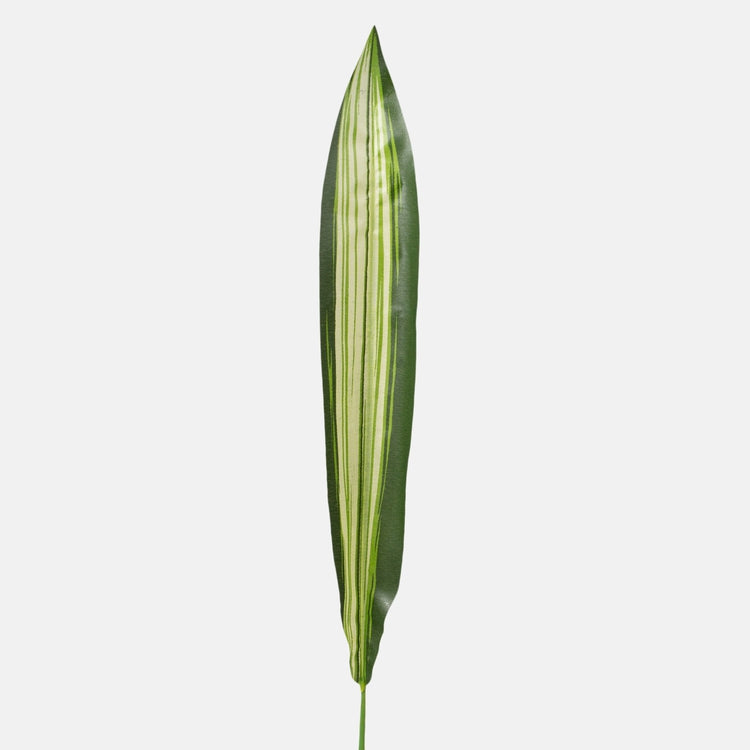 Dracaena lehtroheline 60 cm - Kunstlilled