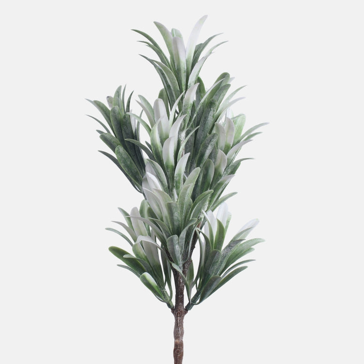 Dracaena kunsttaime oks rohekasvalge 35 cm - Kunstlilled