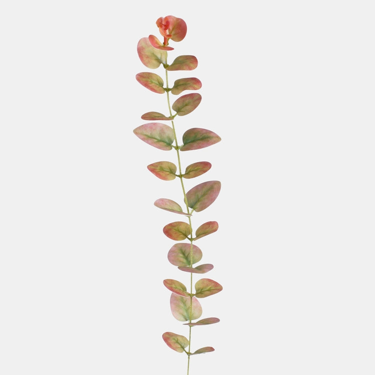 Burgundia eukalüpti oks 51 cm - Kunstlilled