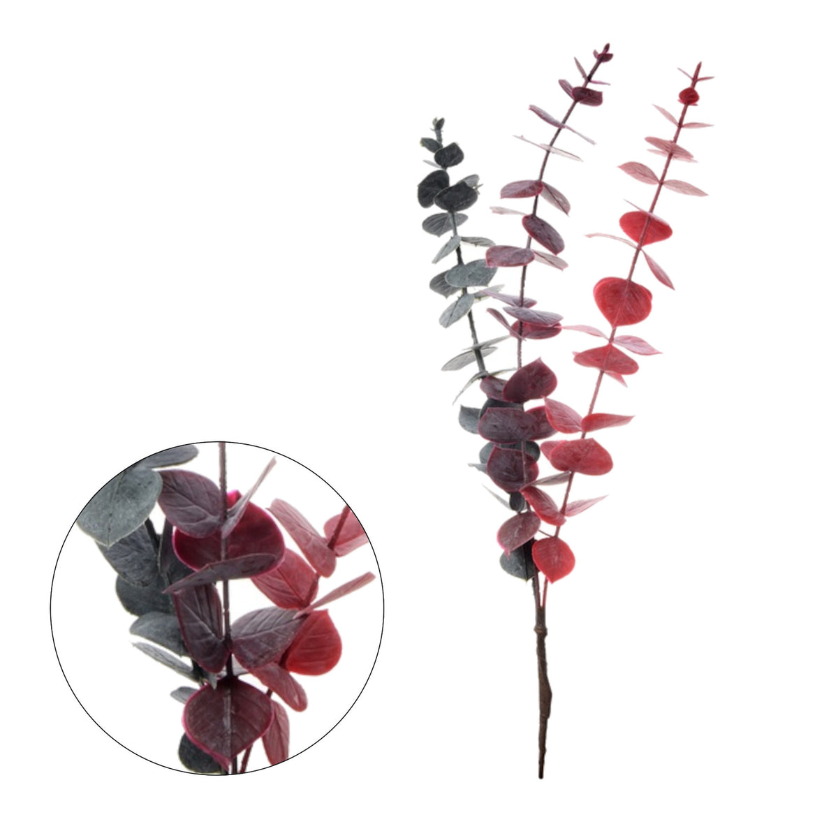 Eukalyptus – koristeoksa, 44 cm