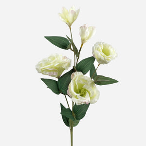 Heleroheline
