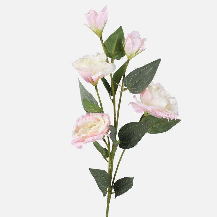 Kreemjas-roosa eustoma kunstlill 70 cm - Kunstlilled