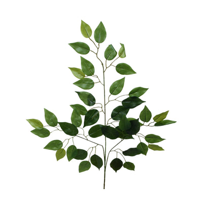 Fiikus – koristeoksa, kumipinta, 66 cm