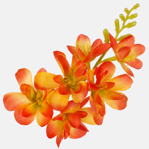 Oranž