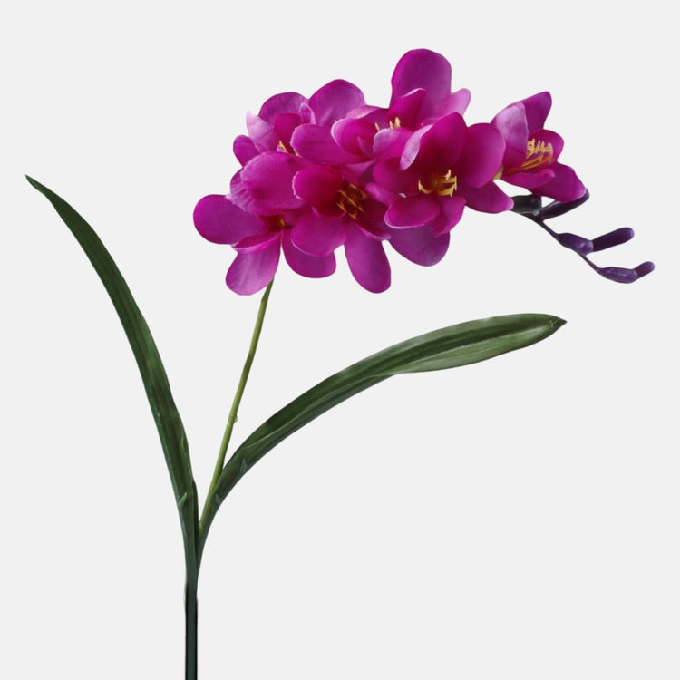 Burgundia freesia kunstlill 56 cm - Kunstlilled