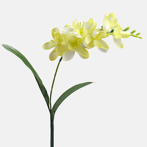 Heleroheline