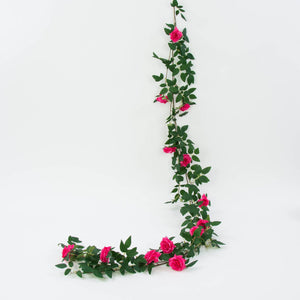 Fuksia