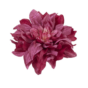 Fuksia