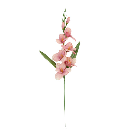 Gladiolus – tekokukka