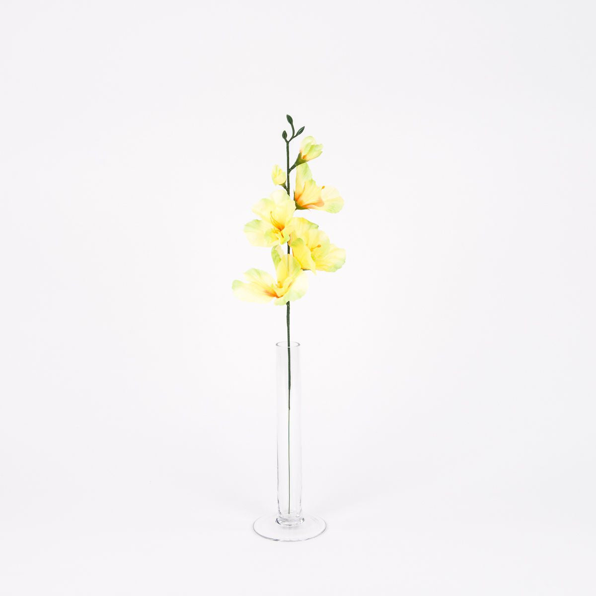 Gladiolus – tekokukka, 12 kpl