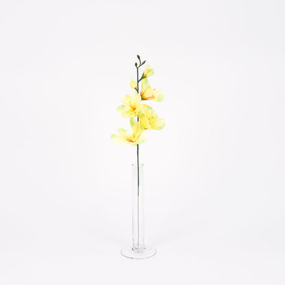 Gladiolus – tekokukka, 12 kpl