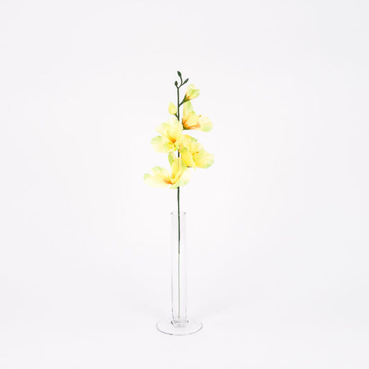 Gladiolus – tekokukka, 12 kpl