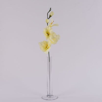 Gladiolus – tekokukka, 12 kpl