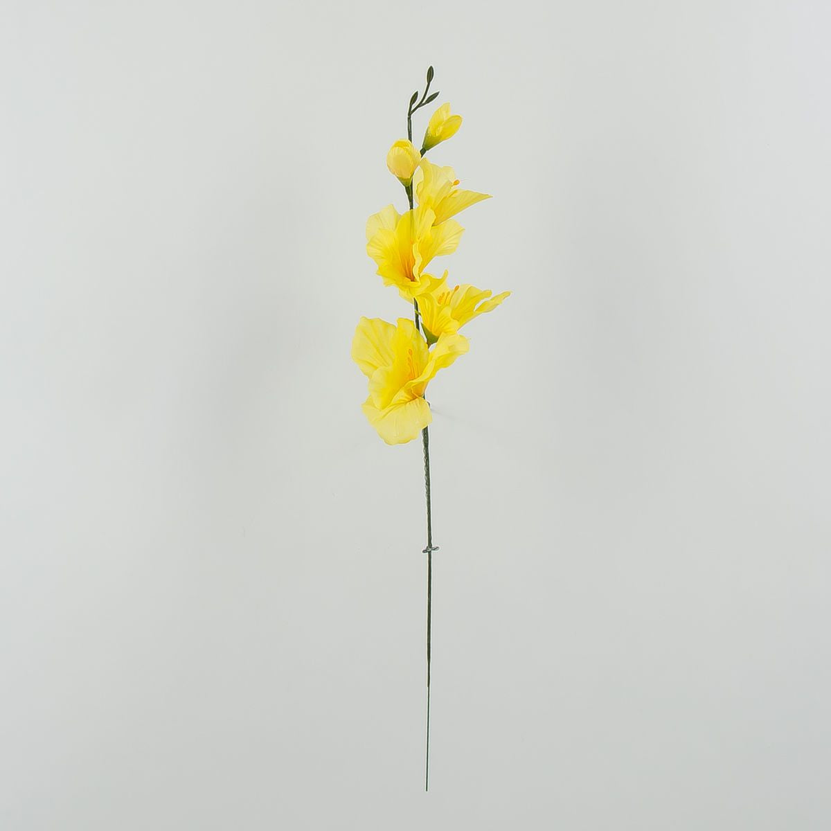 Gladiolus – tekokukka, 12 kpl