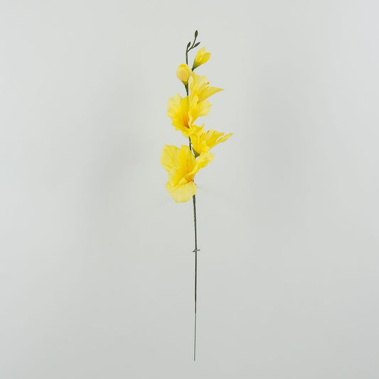 Gladiolus – tekokukka, 12 kpl