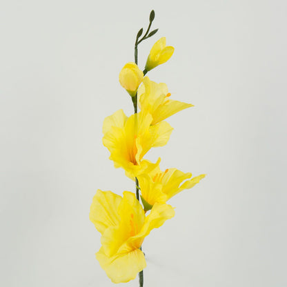 Gladiolus – tekokukka, 12 kpl