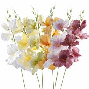 Gladiolus – tekokukka, 55 cm