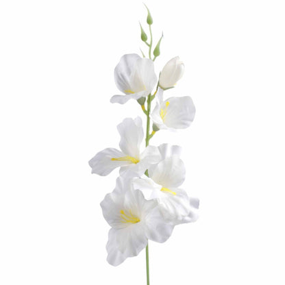 Gladiolus – tekokukka, 55 cm