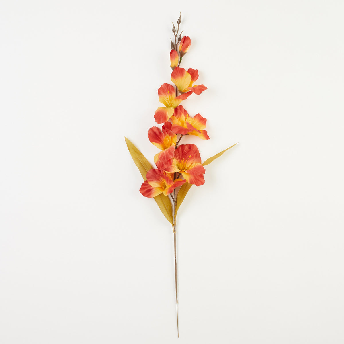 Gladiolus – tekokukka, 64 cm