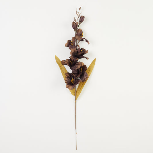 Gladiolus – tekokukka, 64 cm