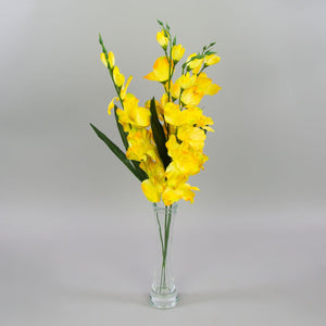 Gladiolus – tekokukka, satiini