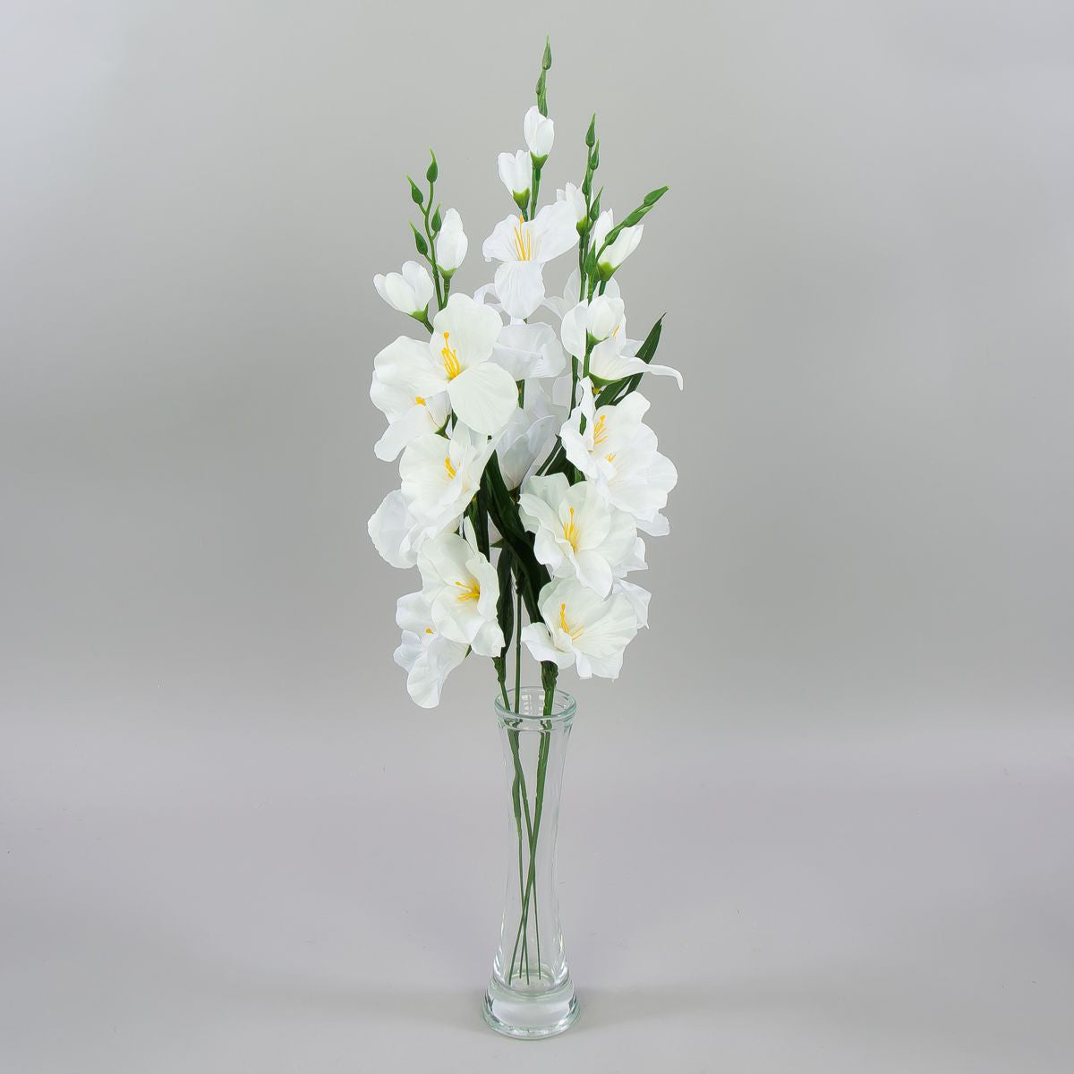 Gladiolus – tekokukka, satiini