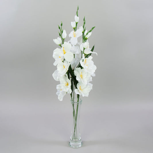 Gladiolus – tekokukka, satiini