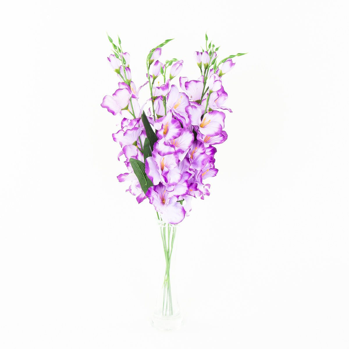 Gladiolus – tekokukka, satiini