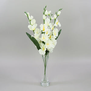 Gladiolus – tekokukka, satiini