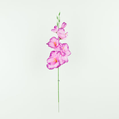 Gladiolus – tekokukka, satiini