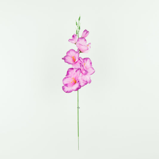 Gladiolus – tekokukka, satiini
