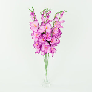 Gladiolus – tekokukka, satiini