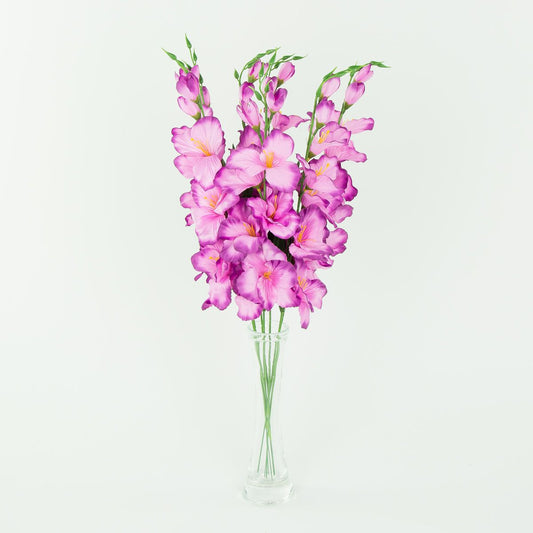 Gladiolus – tekokukka, satiini