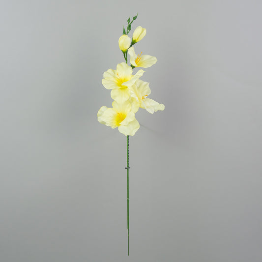 Gladiolus – tekokukka, satiini