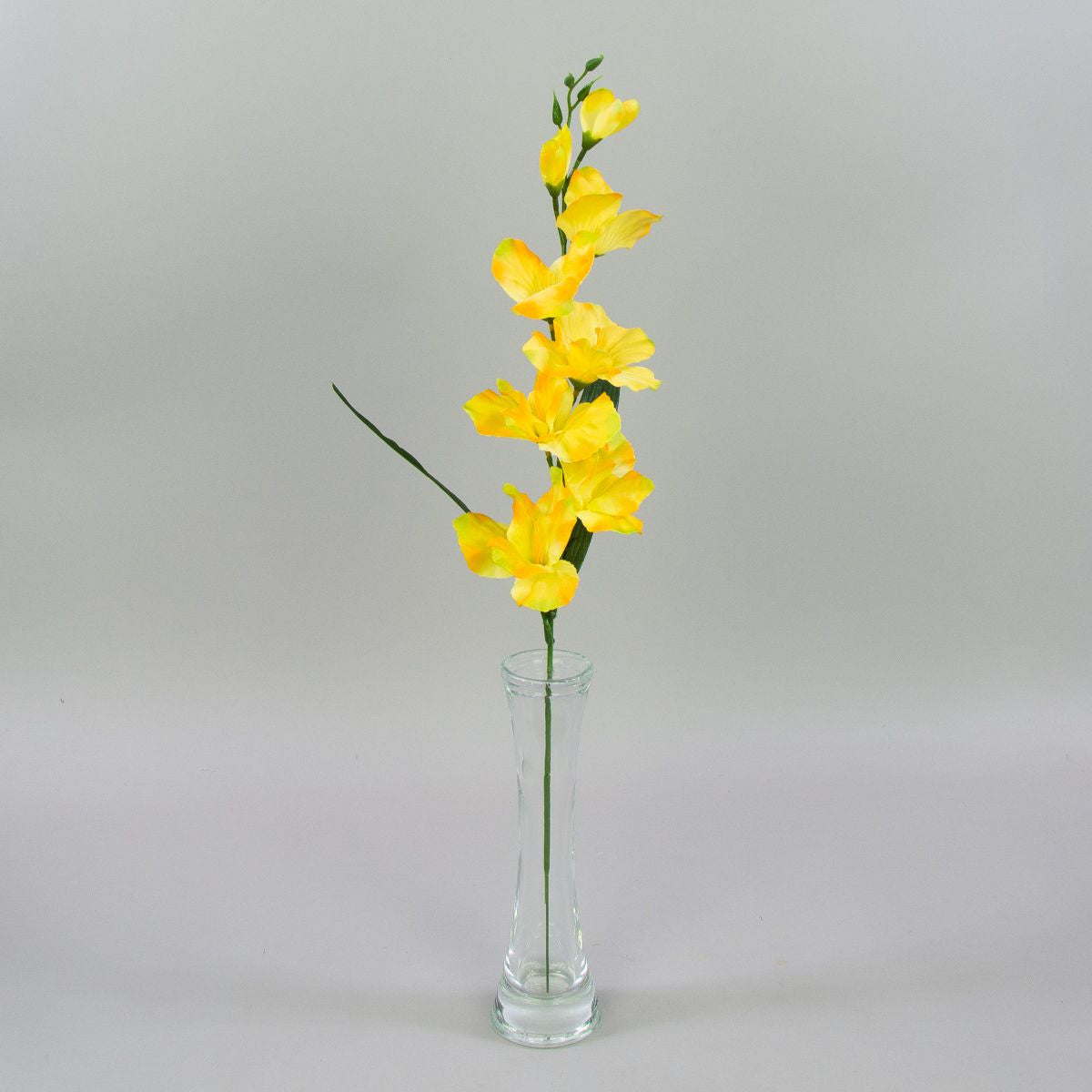 Gladiolus – tekokukka, satiini