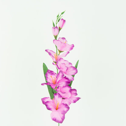 Gladiolus – tekokukka, satiini