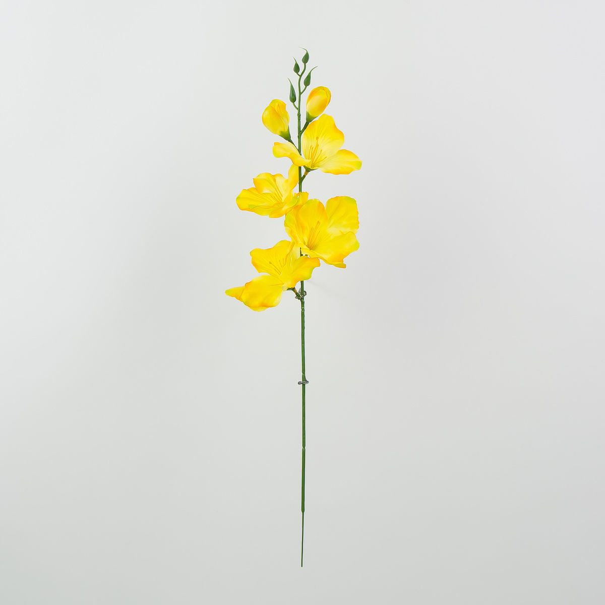Gladiolus – tekokukka, satiini, 12 kpl