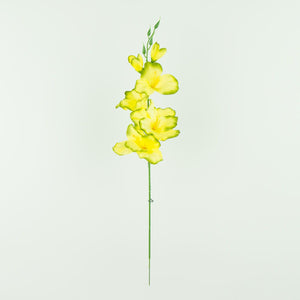 Gladiolus – tekokukka, satiini, 12 kpl