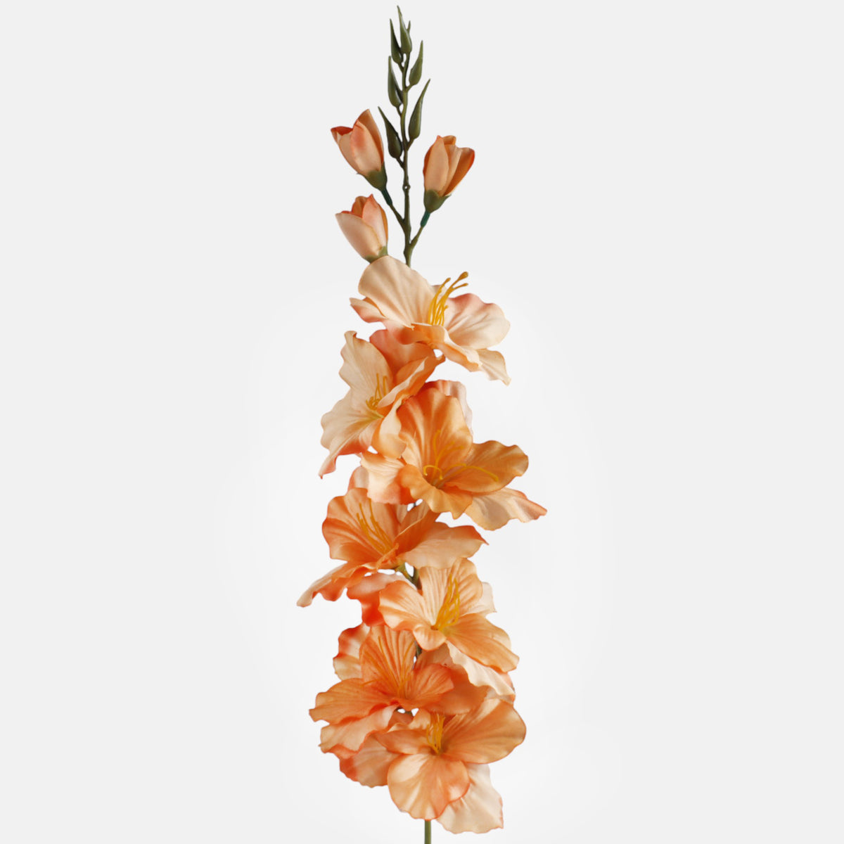 Gladiolus – tekokukka, satiini, 78 cm