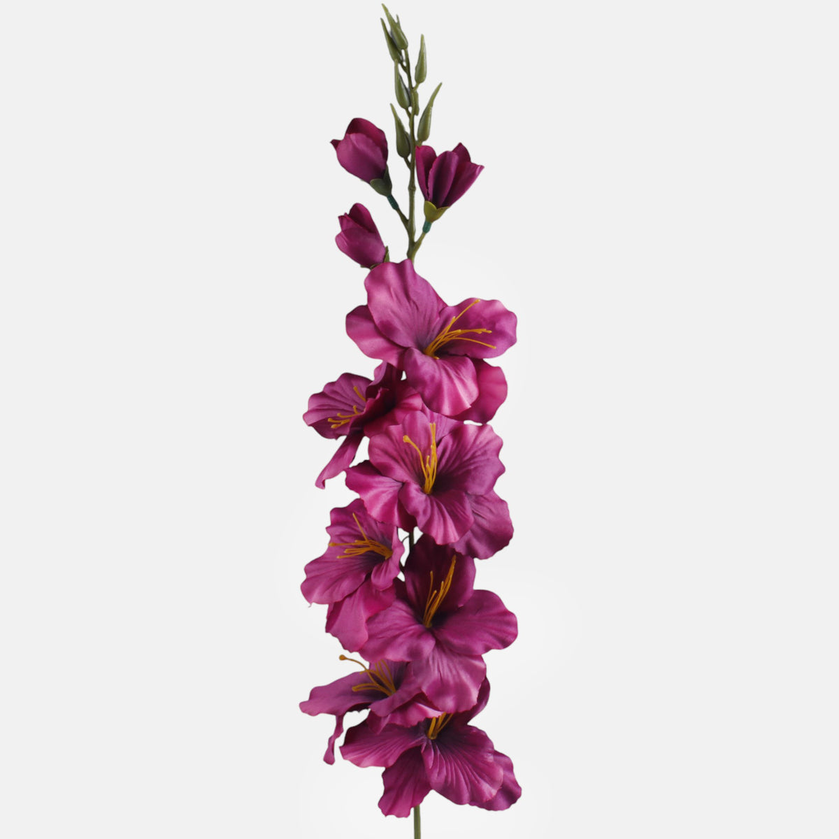 Gladiolus – tekokukka, satiini, 80 cm