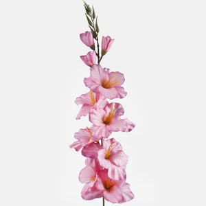 Gladiolus – tekokukka, satiini, 80 cm