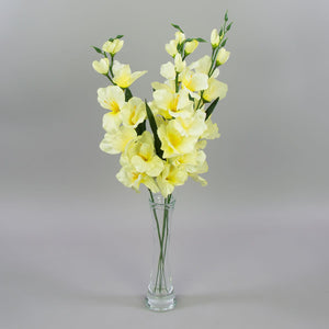Gladiolus – tekokukka, satiini